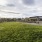 Large grassy area for lounging 